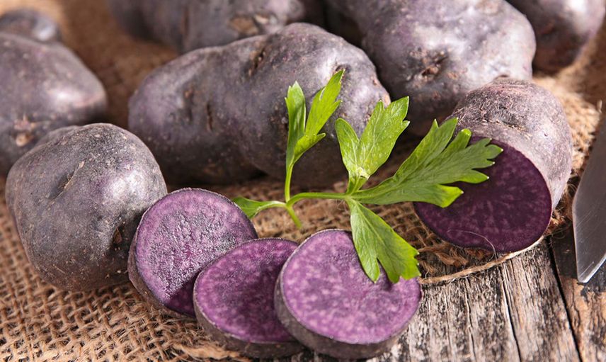MOR PATATES