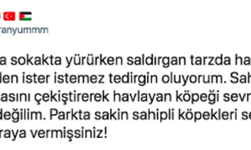 Köpekten Kaçarken Kamyon Çarpıp Hayatını Kaybetti: Ardından Akıl Almaz Paylaşımlar Yapıldı!