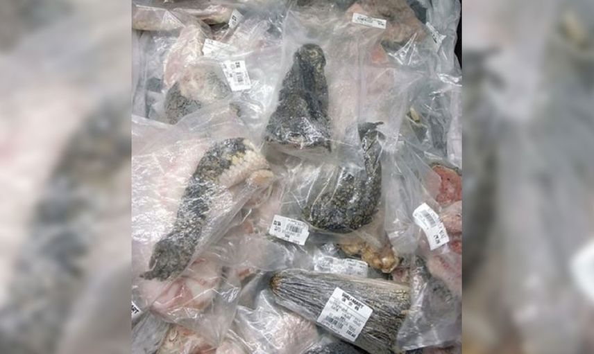Çin’deki marketlerde satılan sıra dışı ürünler