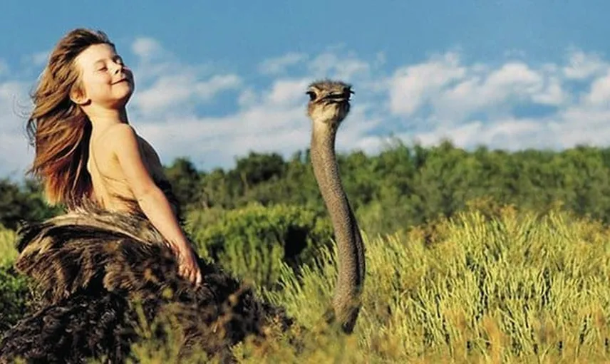 Tarzan Gerçek Oldu: Ormanda Doğan Kızı Hayvanlar Büyüttü!