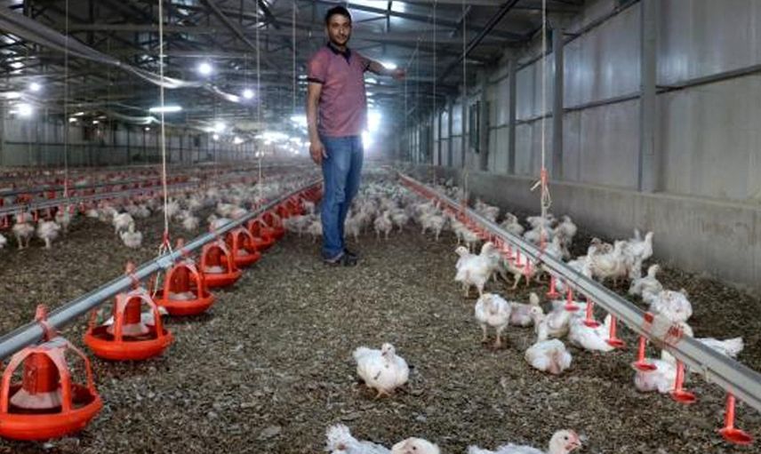 Elektrik Kesintisi Genç Girişimcinin 500 Bin Lirasına Mal Oldu