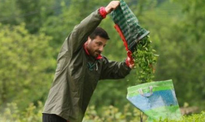 Davut Güloğlu