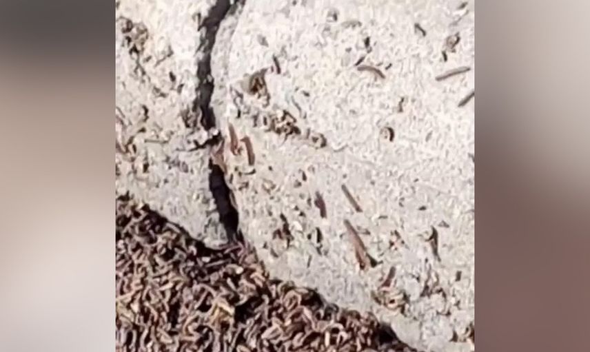 Dünya bu görüntüleri konuşuyor! Gökten yağmur gibi yağdı herkes kıyamet alameti olarak görüyor