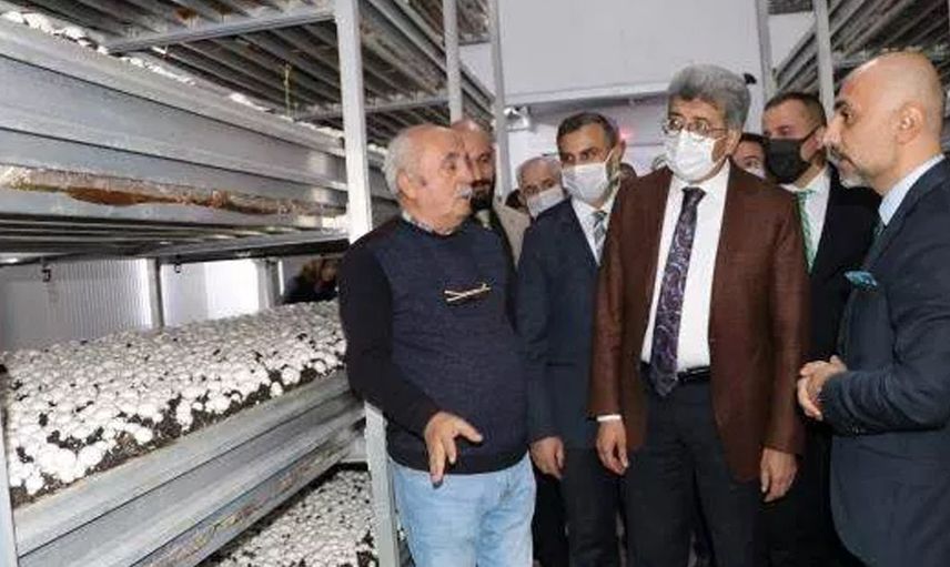 YILLIK ÜRETİM KAPASİTESİ BİN 500 TON