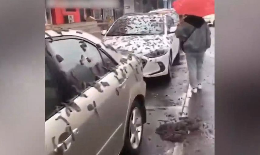 Çin'de korkutan görüntü! Solucan yağmurunun nedeni belli oldu