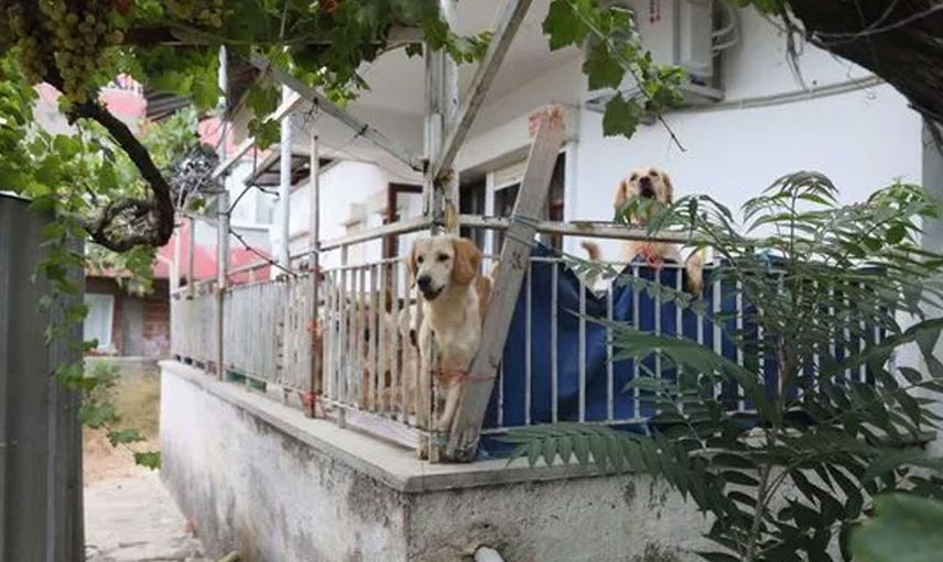 Antalya'da akıllara durgunluk veren olay! Günlerce kilitli tutuldukları evde birbirlerini yemek zorunda kaldılar