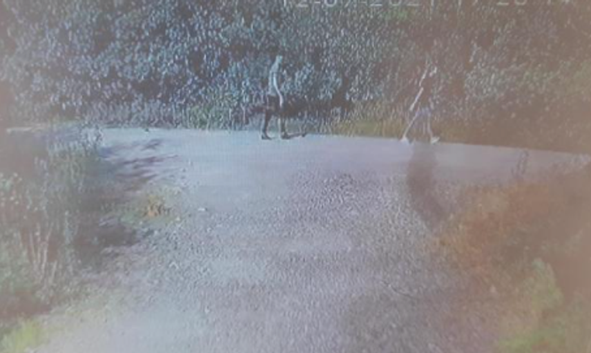 Genç Kızın Başına Taşla Vuran Afganistanlı Yaptıklarıyla Kan Dondurdu