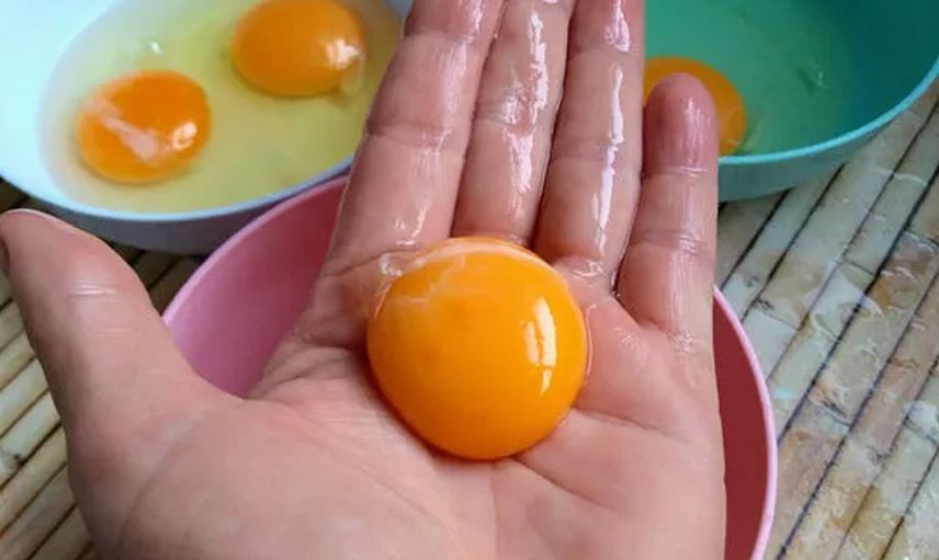 Yumurta sarısı tekniği