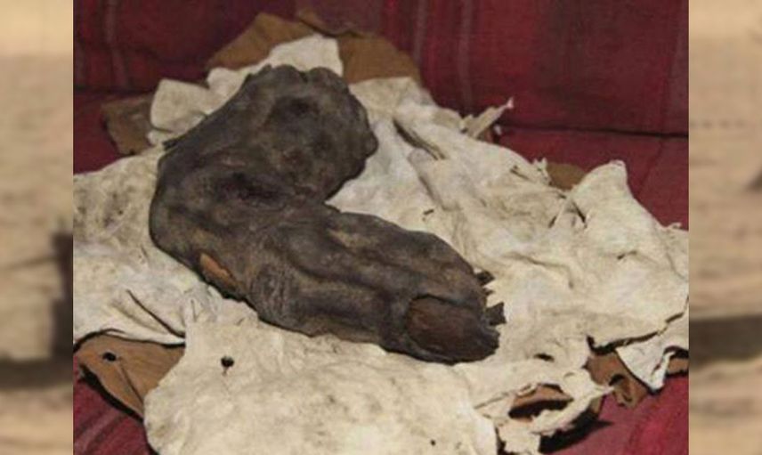 Fotoğrafı büyütünce korkunç gerçekle karşılaştı!