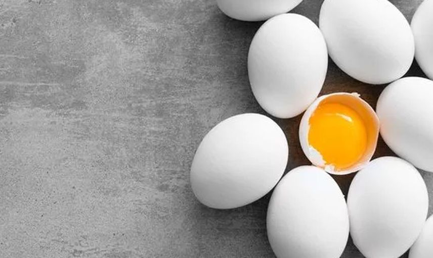 Yumurtanın içindeki ipliğe benzer beyaz şey nedir?