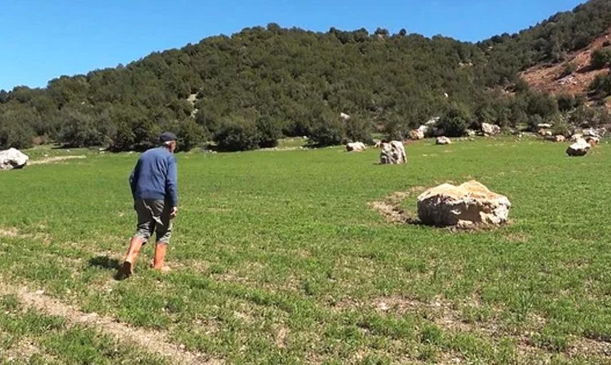 Depremin şiddetiyle kopan kayalar ekili tarım arazilerinin üstüne düştü: İşte o dehşet veren görüntüler