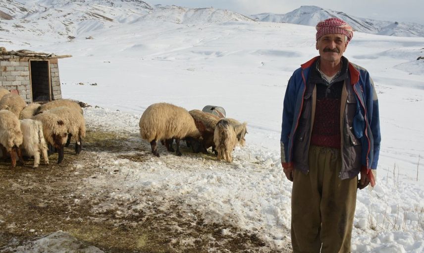 4 Yıldır Şehirden Uzak Yaylada Hayatını Sürdürüyor