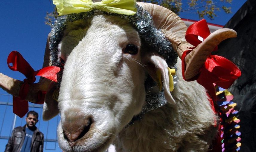 Kurban Kesmek Farz mı, Vacip mi, Sünnet mi?