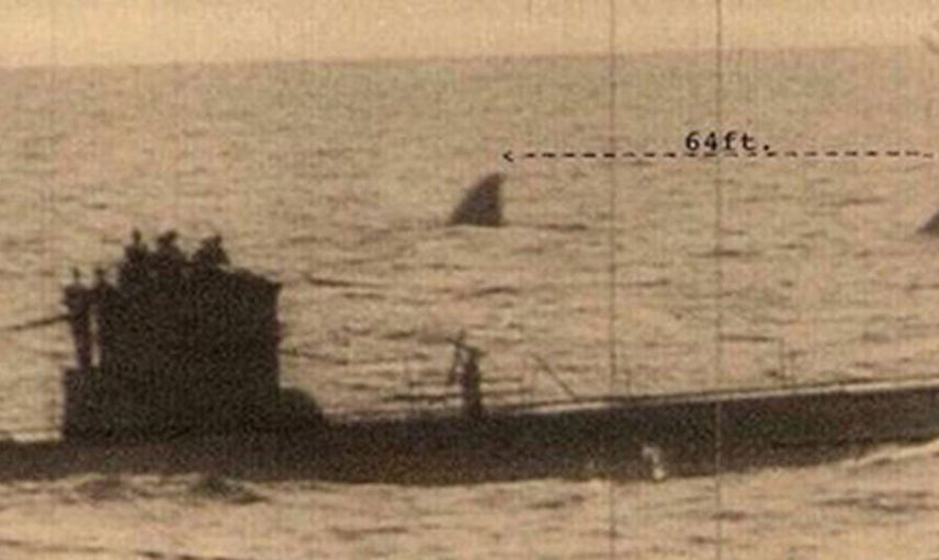 Fotoğrafı büyütünce korkunç gerçekle karşılaştı!