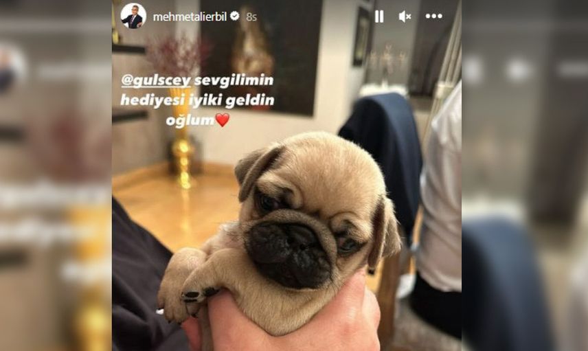 Gülseren Ceylan, sevgilisine bir köpek aldı