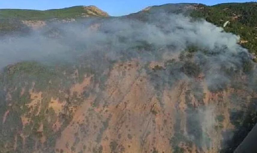 Köyceğiz ve Bodrum'da Çıkan Yangınlar Şiddetlendi