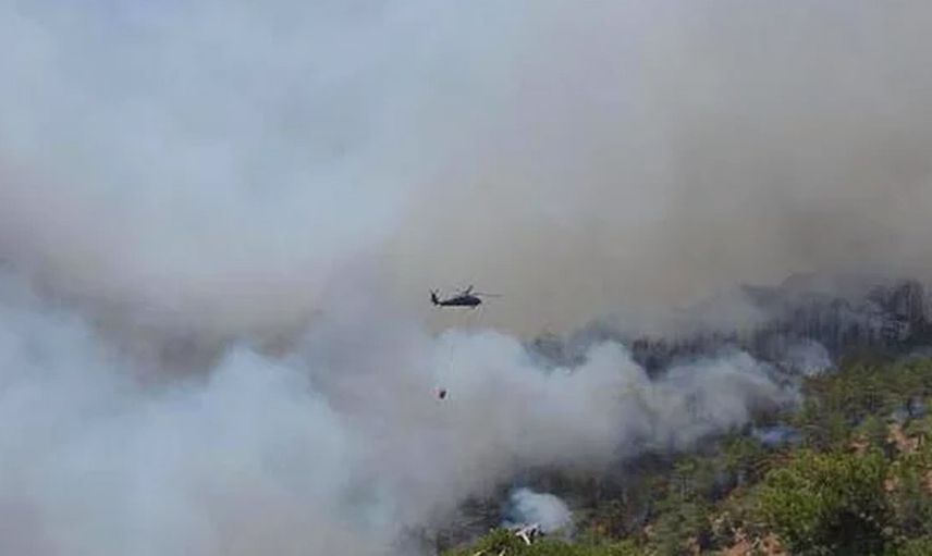 Köyceğiz ve Bodrum'da Çıkan Yangınlar Şiddetlendi