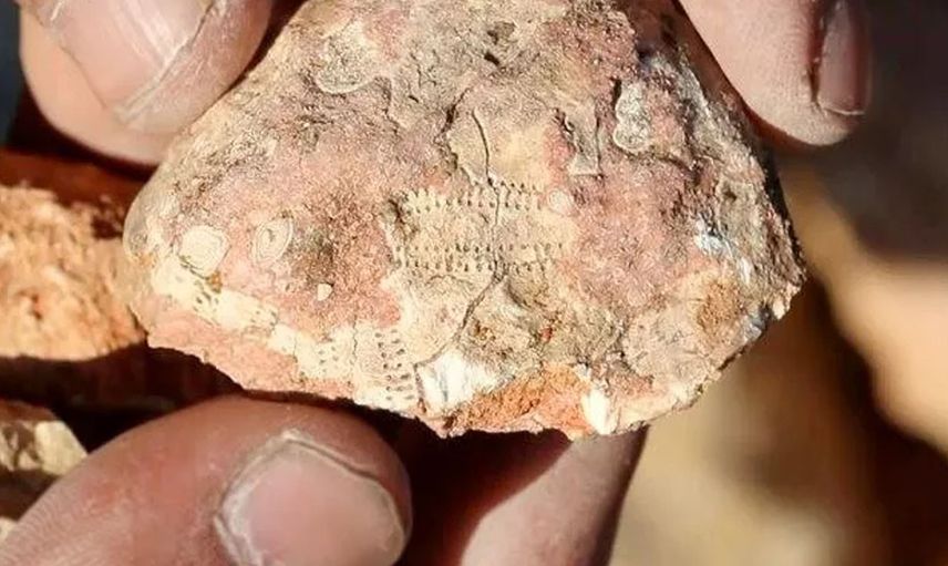 Tesadüfen gezen çoban Fırat Nehri kıyısında bulduğu kalıntıların 1800 yıllık eser olduğu ortaya çıktı!