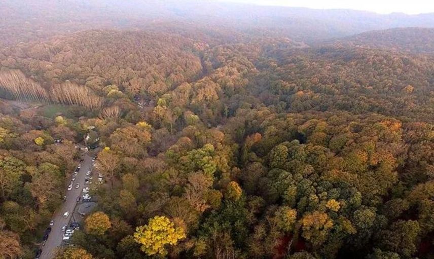 Belgrad Ormanı'nda Üzücü Görüntüler: Yasakları Hiçe Saydılar!