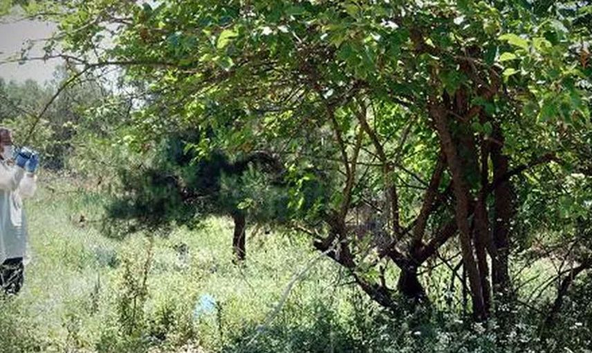 Uşak’ta akıl almaz olay! Bebeğini fabrika bahçesine atan annenin ifadesi pes dedirtti
