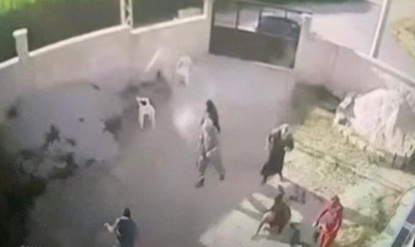 Konya'daki Aile Katliamında Yeni Gelişme: Katil Tespit Edildi!