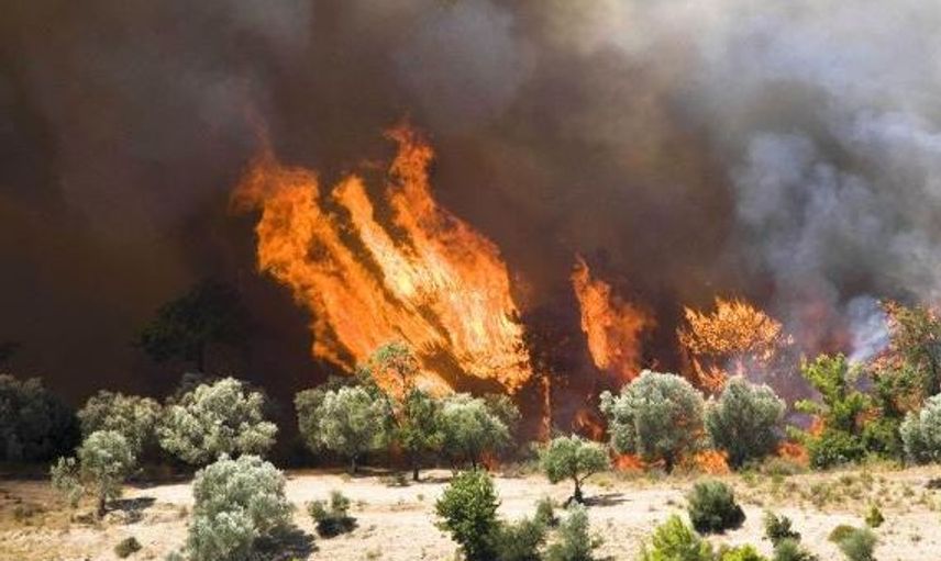 Antalya'da Meydana Gelen Orman Yangınlarında 80 Dekarlık Alan Küle Döndü