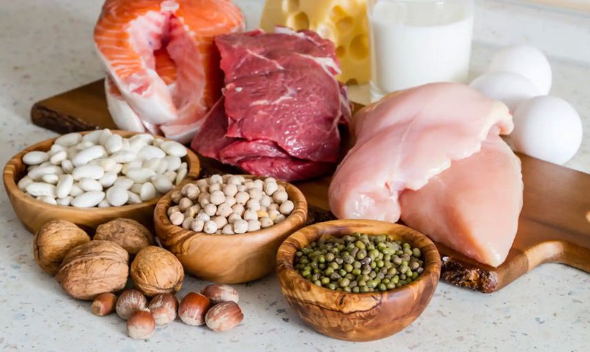 Protein Takviyesi