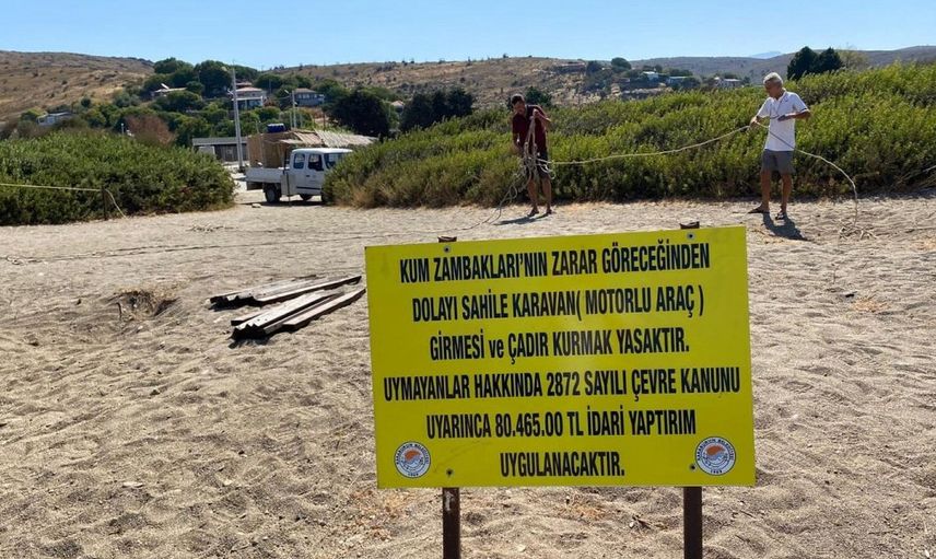 İzmir'de Çiçek Açan Kum Zambaklarına Zarar Vermenin Cezası 80 Bin Lira