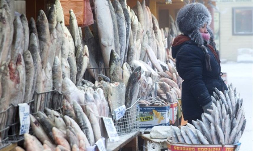 Hayatın Eksi 64 Derecede Devam Ettiği Yakutsk Şehrinden İlginç Kareler