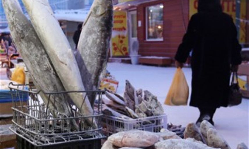 Hayatın Eksi 64 Derecede Devam Ettiği Yakutsk Şehrinden İlginç Kareler