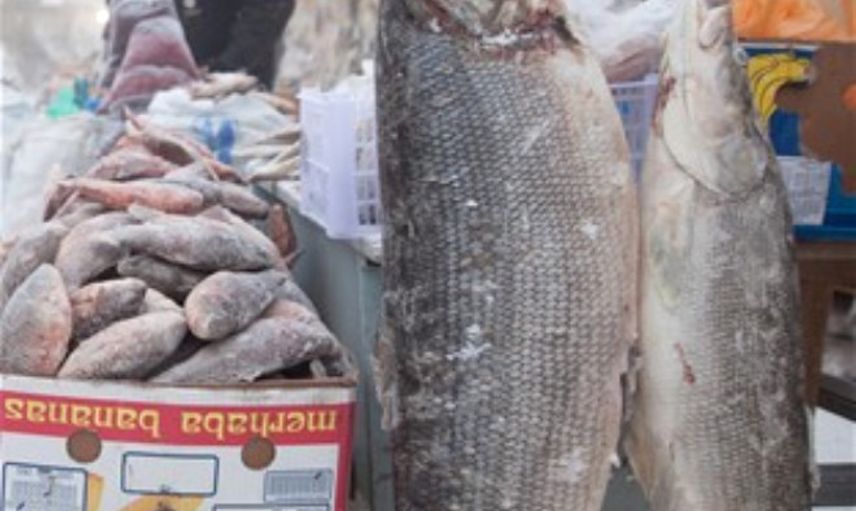 Hayatın Eksi 64 Derecede Devam Ettiği Yakutsk Şehrinden İlginç Kareler