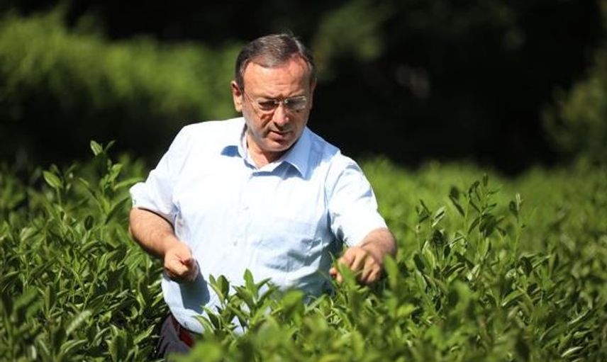 İmparatorların Çayı Olarak da Bilinen Beyaz Çay 4 Bin TL'den Satılıyor