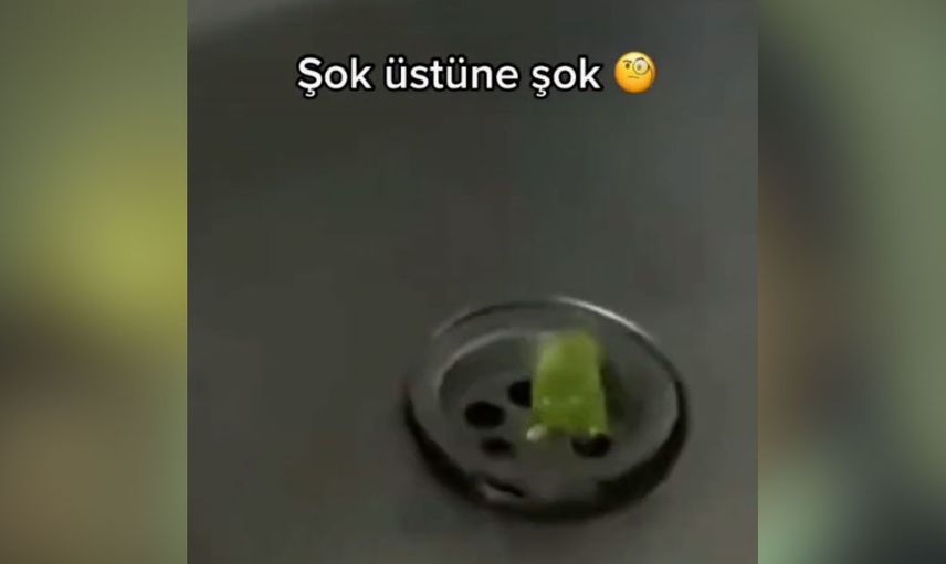 Fare istilası başladı! Önce ekmeğin içinden çıktı şimdi de lavobonun içinden görüntüler dehşet verici