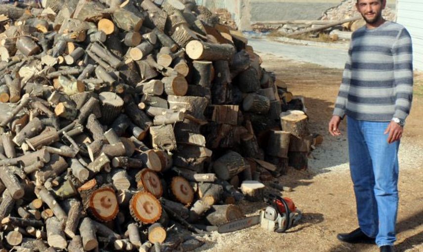 Kesilen Ağacın İçinden Türk Bayrağı Figürü Çıktı