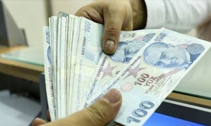Hane sayısı