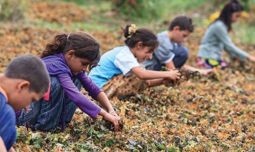 17 Ekim Dünya Yoksullukla Mücadele Günü Ne Zaman İlan Edildi?