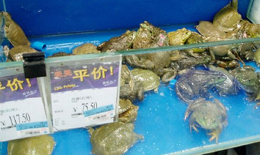 Çin’deki marketlerde satılan sıra dışı ürünler