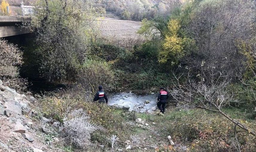 Tokat Almus’ta sıra dışı olay! Ormandan çıkanlar polis ekiplerini harekete geçirdi