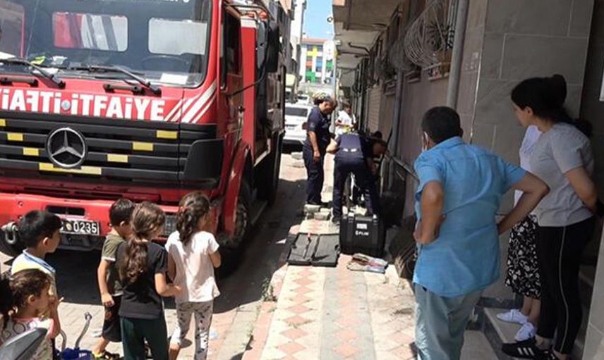 İstanbul’da şehrin içinde yılan görüldü