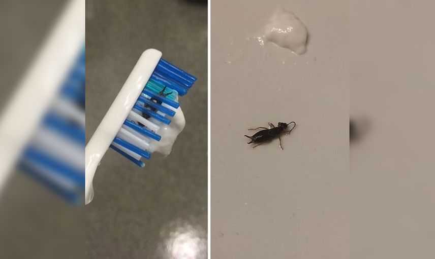 Ölümden kıl payı dönen insanlar