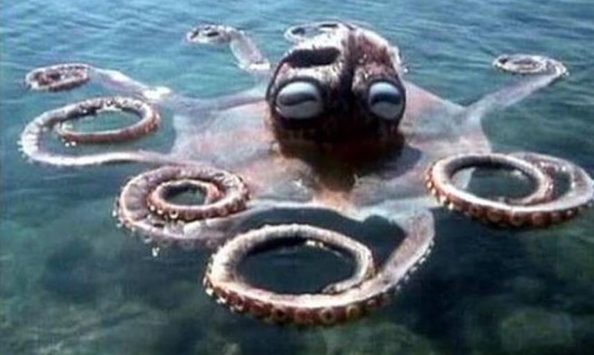 Kim Milyoner Olmak İster Yarışması'nda Verdiği Tepkiyle Gündem Oldu