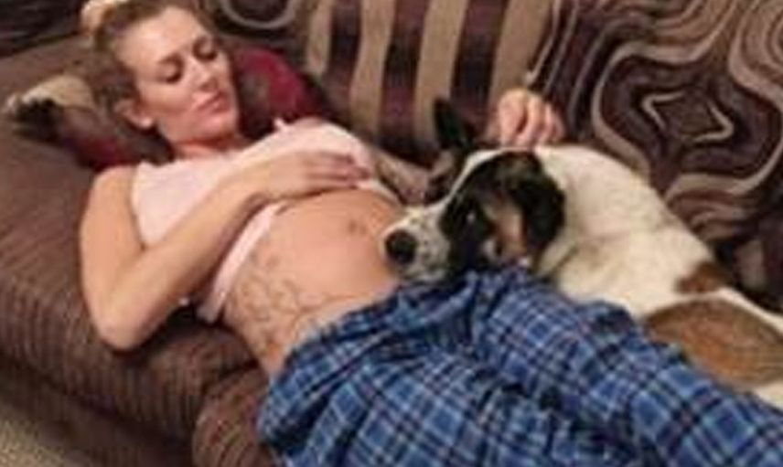 Köpekleri hamile kadının karnına bakıp havlamaya Başladı! Hastaneye gidince gerçeği öğrendiler
