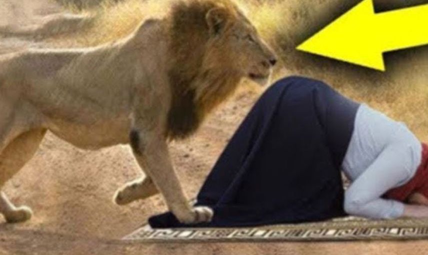 Kadının arkasından aslan geldi