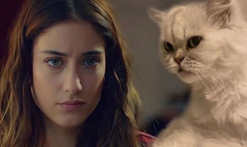 Hazal Kaya'nın acı kaybı! Ünlü oyuncu duyurdu: Ağlıyorum...