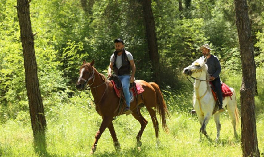 At Severler Kendini Balıkesir'in Doğasına Attı