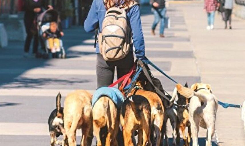Eşini köpek tasmasıyla sokakta gezdiren kadın itiraf etti