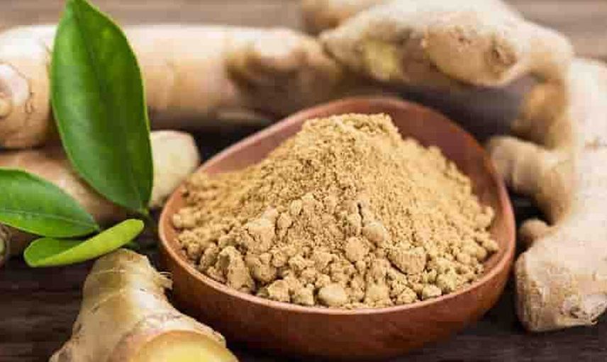 Zencefil
