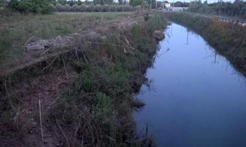 Antalya'da Sulama Kanalından İnsan Kafatası Çıktı