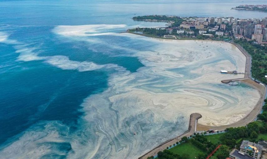 Korkutan Görüntü Caddebostan'dan Geldi! Müsilaj Arttı