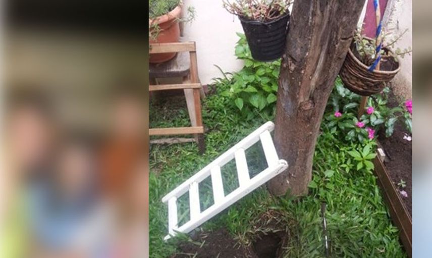 Yeni taşındığı evin bahçesinden çıkanlar hayrete düşürdü